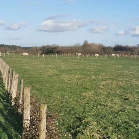 Vakantiehuis Maison Neuve Au Calme A 2 Pas Du Mans Et Des 24h. *